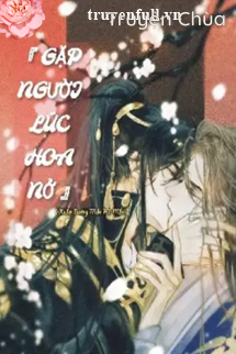 Gặp Người Lúc Hoa Nở
