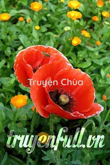 Gửi Anh – Chàng Trai Giống Cánh Đồng Hoa Anh Túc
