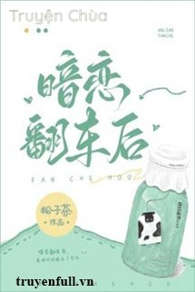 Sau Khi Yêu Thầm Bị Lật Xe