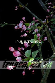 Yên Vũ Xuân Phong Tẫn Dư Hoan